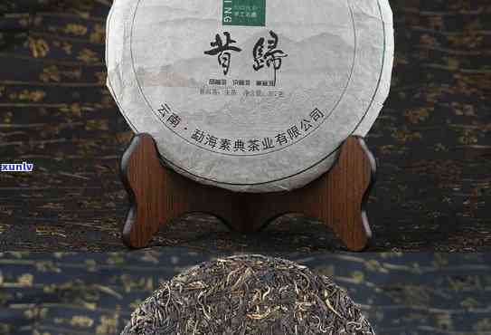 昔归古树茶树龄：揭秘2009年最老茶树及其价格