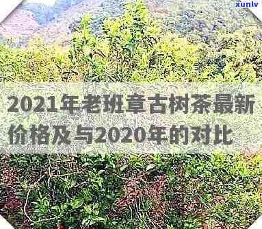 2021年云南古树茶行情分析及走势预测