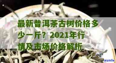 2021年云南古树茶行情分析及走势预测