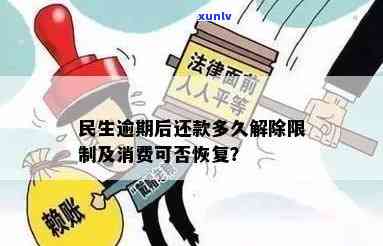 民生逾期后还款多久解除限制，民生银行逾期后，多久可以解除账户限制？