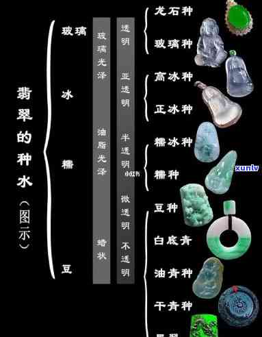 18个翡翠种-翡翠种嫰