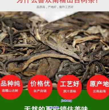 雨林古树茶迭出：价格、生茶多少钱？