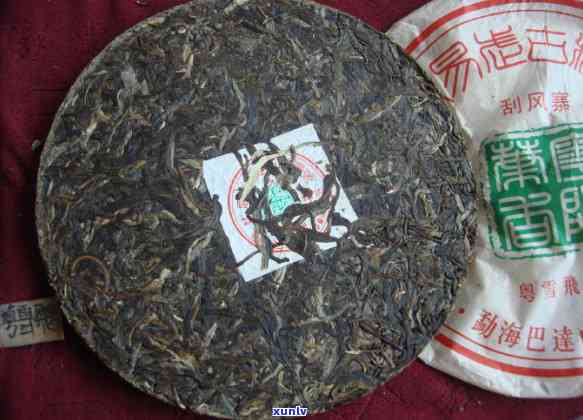 刮风寨茶叶价格全览：最新价格表与茶厂信息