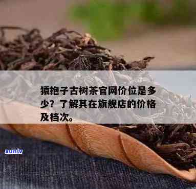 黄金芽茶叶如何冲泡-黄金芽茶叶如何冲泡好喝