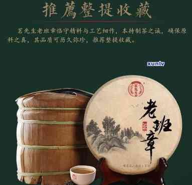 茗先生古树茶怎么样-茗先生茶叶怎么样