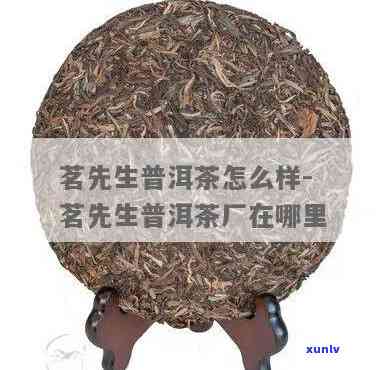 茗先生古树茶怎么样-茗先生茶叶怎么样