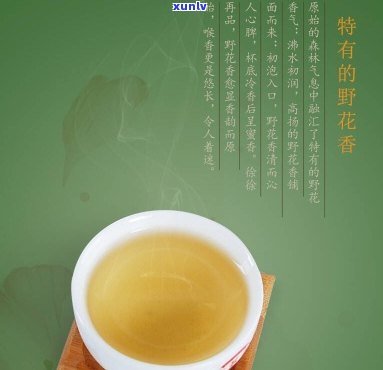 茗先生古树茶怎么样-茗先生茶叶怎么样