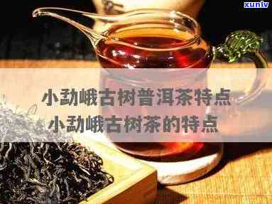 探究小勐峨古树茶的独特口感及特点