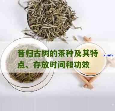 昔归古树茶冲泡 *** 与功效全解