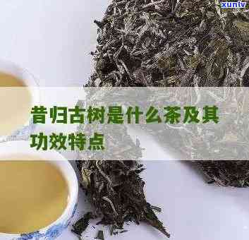 昔归与古树茶的区别-昔归古树茶的功效