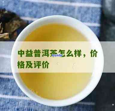 益中云普洱茶价格，益中云普洱茶价格：一份详尽的购买指南