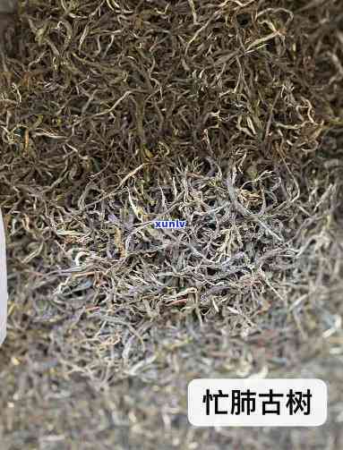 忙肺山古树茶怎么样-忙肺山古树茶简介