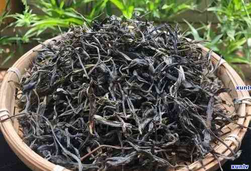 昔归古树茶有热量吗-昔归古树茶多少1斤