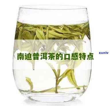 南迫茶的口感：独特特点解析