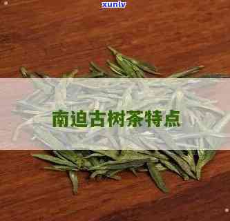 南迫古树茶口感怎样-南迫古树茶口感特点