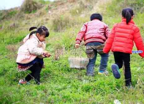 三尺翡翠原石图片大全欣赏