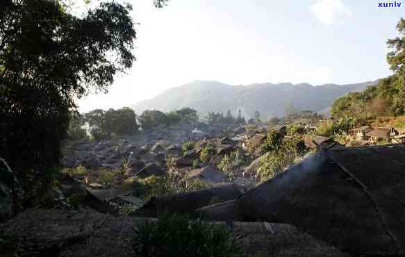 香竹林自然村，探访云南香竹林自然村：原始风貌与现代生活完美融合