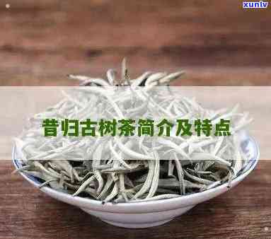 昔归古树茶的优缺点-昔归古树茶怎么样