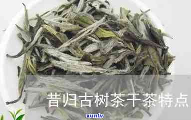 昔归古树茶干茶色泽-昔归古树茶的特点