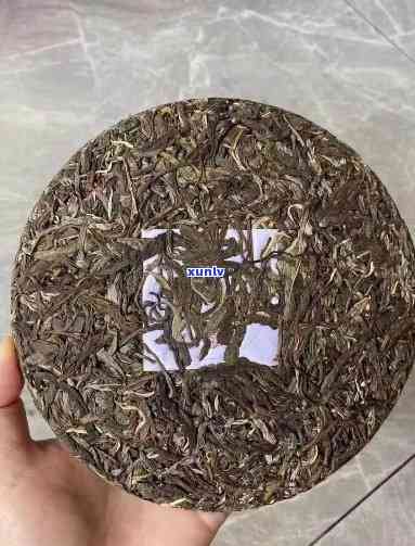 勐傣茶厂昔归古树茶-2020勐傣昔归