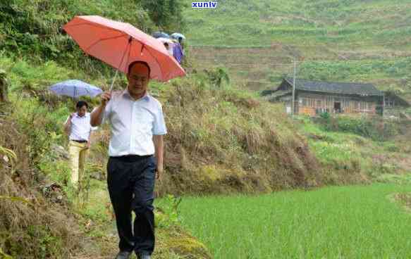 华融湘江银行逾期一期：利息、还款全攻略