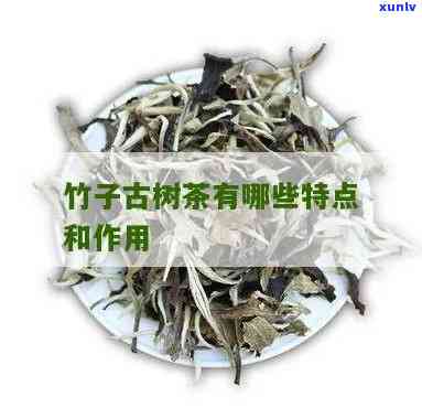 探索竹子古树熟茶的独特特点与价值