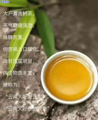 下关2016洱圆茶，品鉴2016年下关洱圆茶，感受云南普洱的魅力与韵味