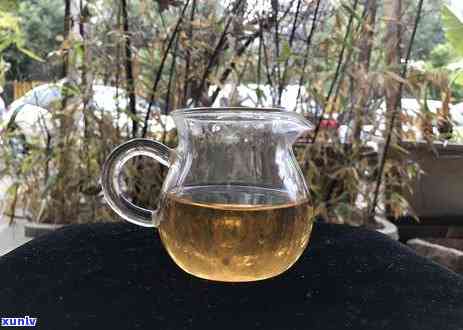 大理古树茶村有哪些地方，探秘云南大理：揭秘古树茶村的神秘之处