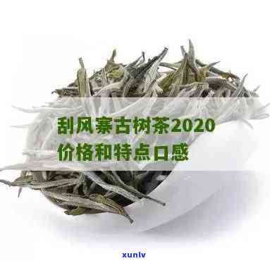 2017年刮风寨古树茶价格，2017年刮风寨古树茶市场价格分析与趋势预测