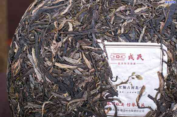 忙肺肾古树茶的功效-忙肺古树茶泡法