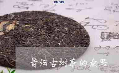 昔归古树茶能放多久-昔归古树茶存放几年喝