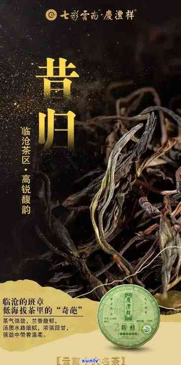 昔归古树茶介绍，探秘云南普洱：昔日皇家贡品——昔归古树茶的传说与鉴