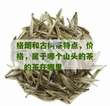 格朗和古树茶润天香哪个好喝，润天香与格朗和古树茶：口感对决，谁更胜一筹？