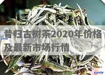 昔归历年古树茶询价-2020年昔归古树茶价格