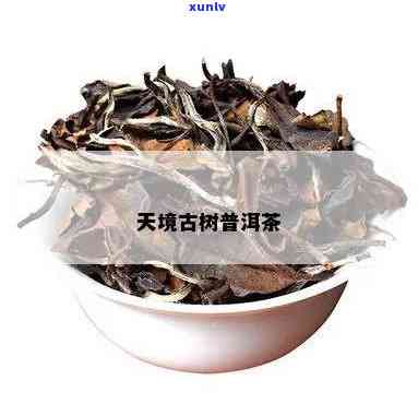 天月古树茶勐海之味-天月古树普洱茶价格