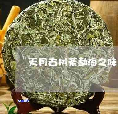 天月古树茶勐海之味-天月古树普洱茶价格