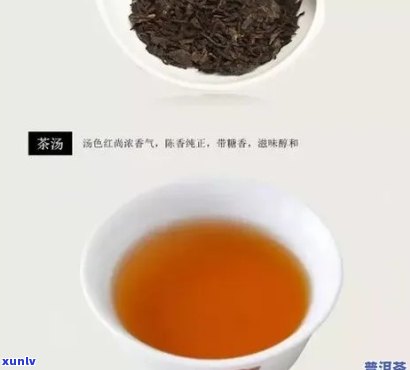 雨林古树茶哪一款好喝，推荐！探究雨林古树茶的口感与品质，哪一款更值得一试？