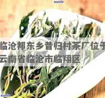 临沧邦东昔归古树茶-临沧市临翔区邦东昔归茶厂