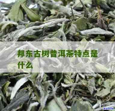 邦东昔归古树茶作用-邦东茶也称昔归茶吗