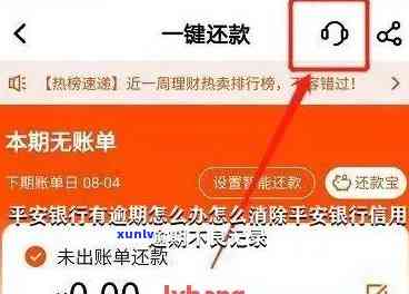 平安哪里看逾期记录明细，怎样查询平安逾期记录明细？