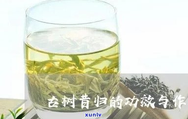 昔归古树茶的炒作-昔归古树茶的功效