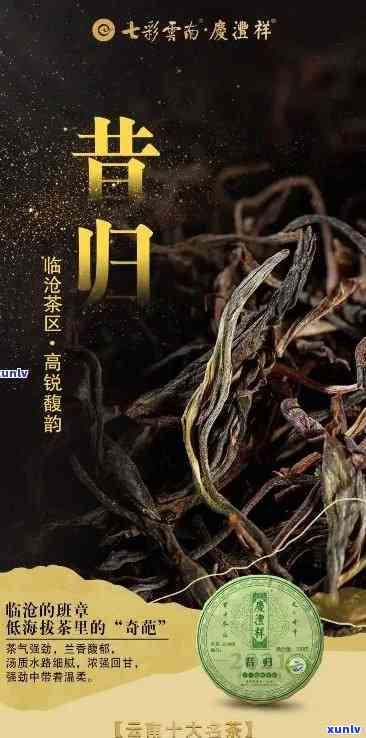 昔归古树茶历，探秘古树茶的起源与历：以昔归为例