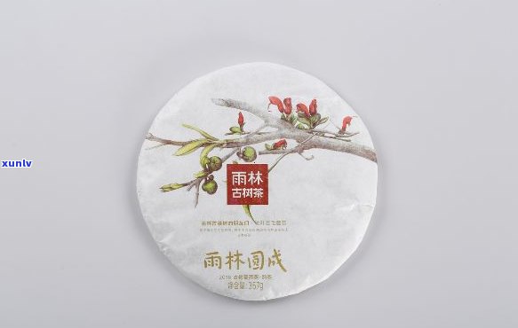 雨林古树茶介绍-雨林古树茶介绍图片