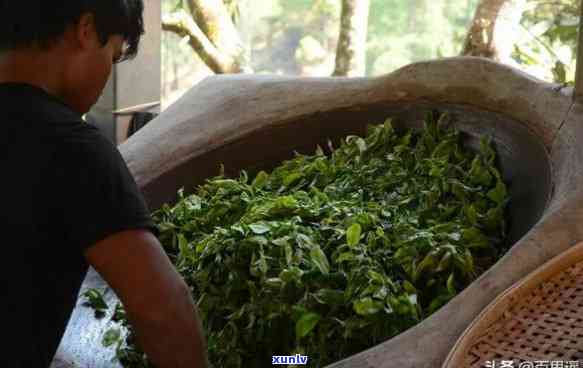 临沧永德县茶怎么样？揭秘云南临沧永德县十大茶厂及其优质茶叶