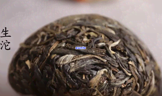 下关沱茶知乎：了解沱茶的魅力与品种，探讨其品质与功效