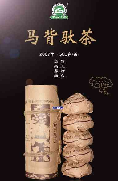 2007年下关马背驮茶：何种香气？与2006年相关知识及级别探讨