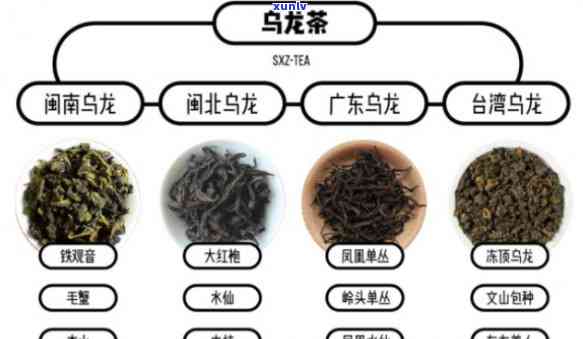 2007年下关马背驮茶：何种香气？与2006年相关知识及级别探讨