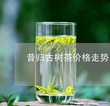 昔归古树茶叶价格-昔归古树茶叶多少钱