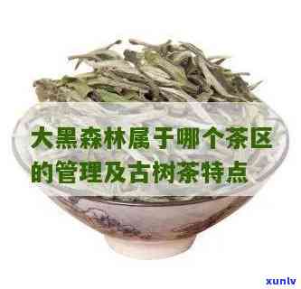 大黑森林古树茶颜色-大黑森林古树茶颜色怎么样