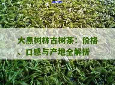 大黑森林古树茶颜色-大黑森林古树茶颜色怎么样